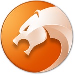 猎豹安全浏览器测试版